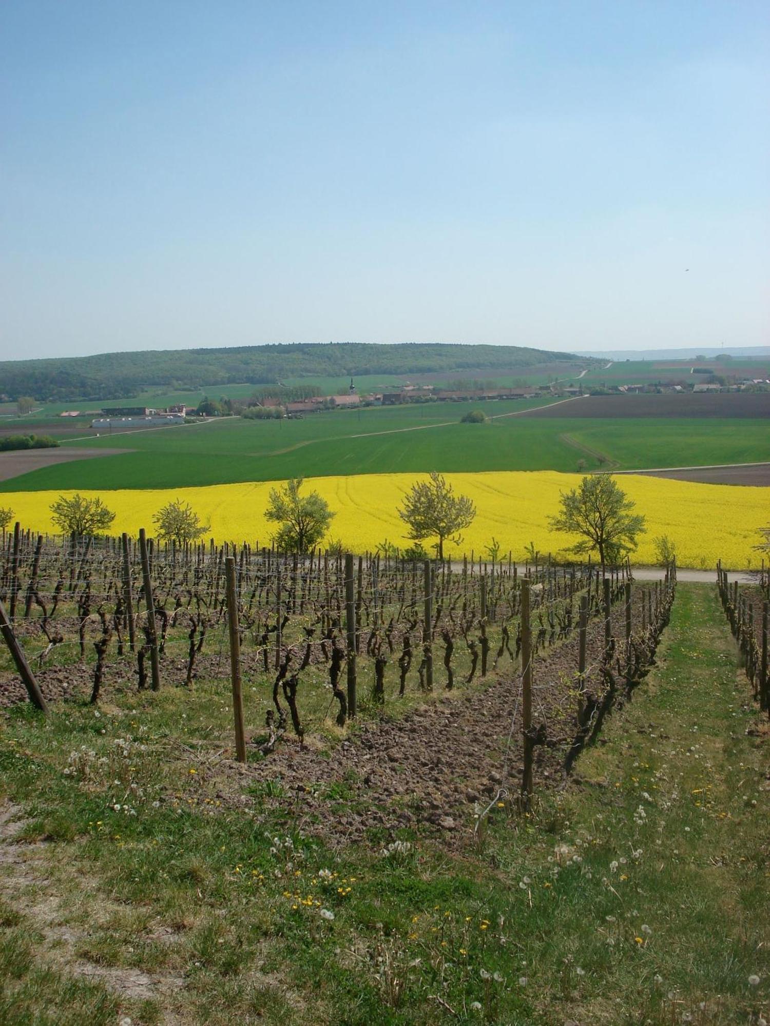 Landgasthof Zum Schwarzen Adler Hotel 3*