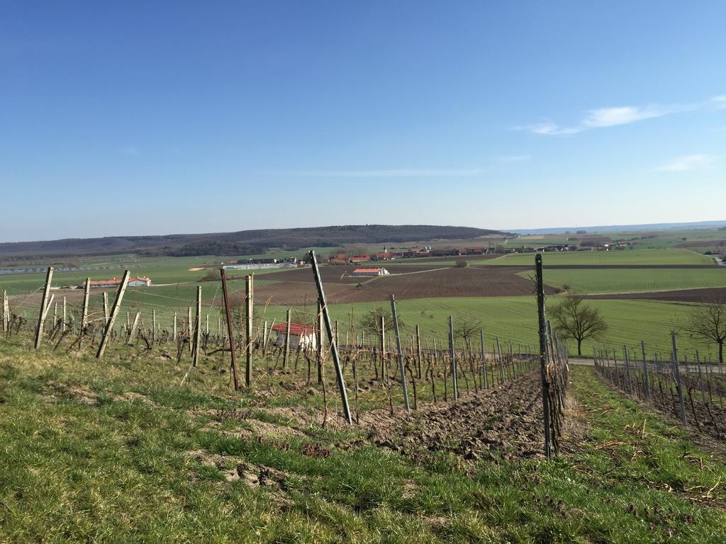 Hotel Landgasthof Zum Schwarzen Adler